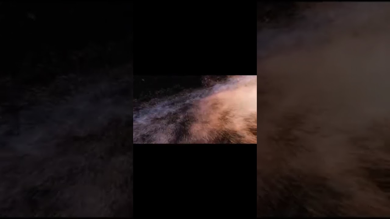 ⁣Самое большое существо в кино!#shorts #фильм #людивчерном