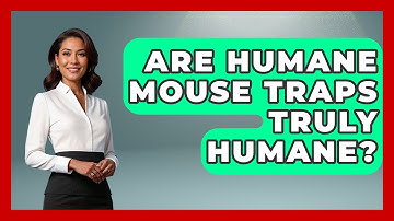 Are Humane Mouse Traps Truly Humane? - Insects and Invaders