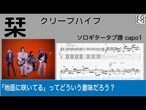栞  /  クリープハイプ　/  TAB譜　/ソロギターアレンジ/歌詞付き
