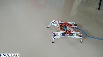 Quadruped Gen X-1, a bio-inspired robot developed under PACE LAB