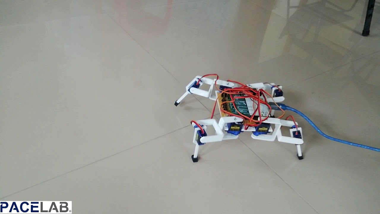 Quadruped Gen X-1, a bio-inspired robot developed under PACE LAB