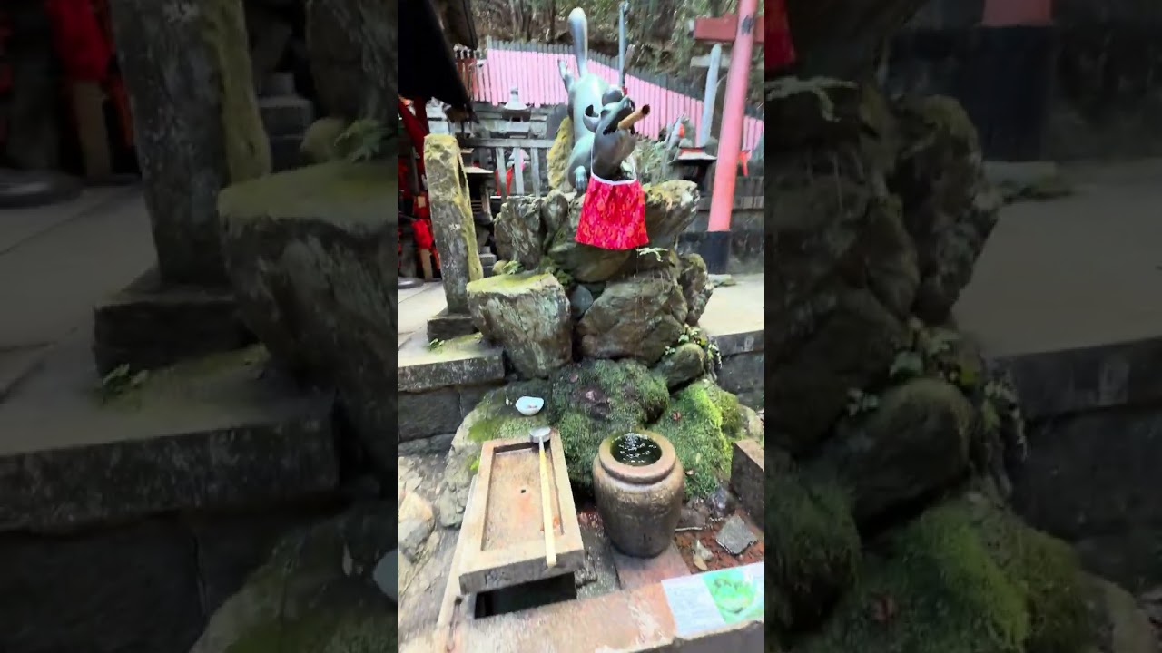 Fushimi Inari's Torii Gates walk from the top