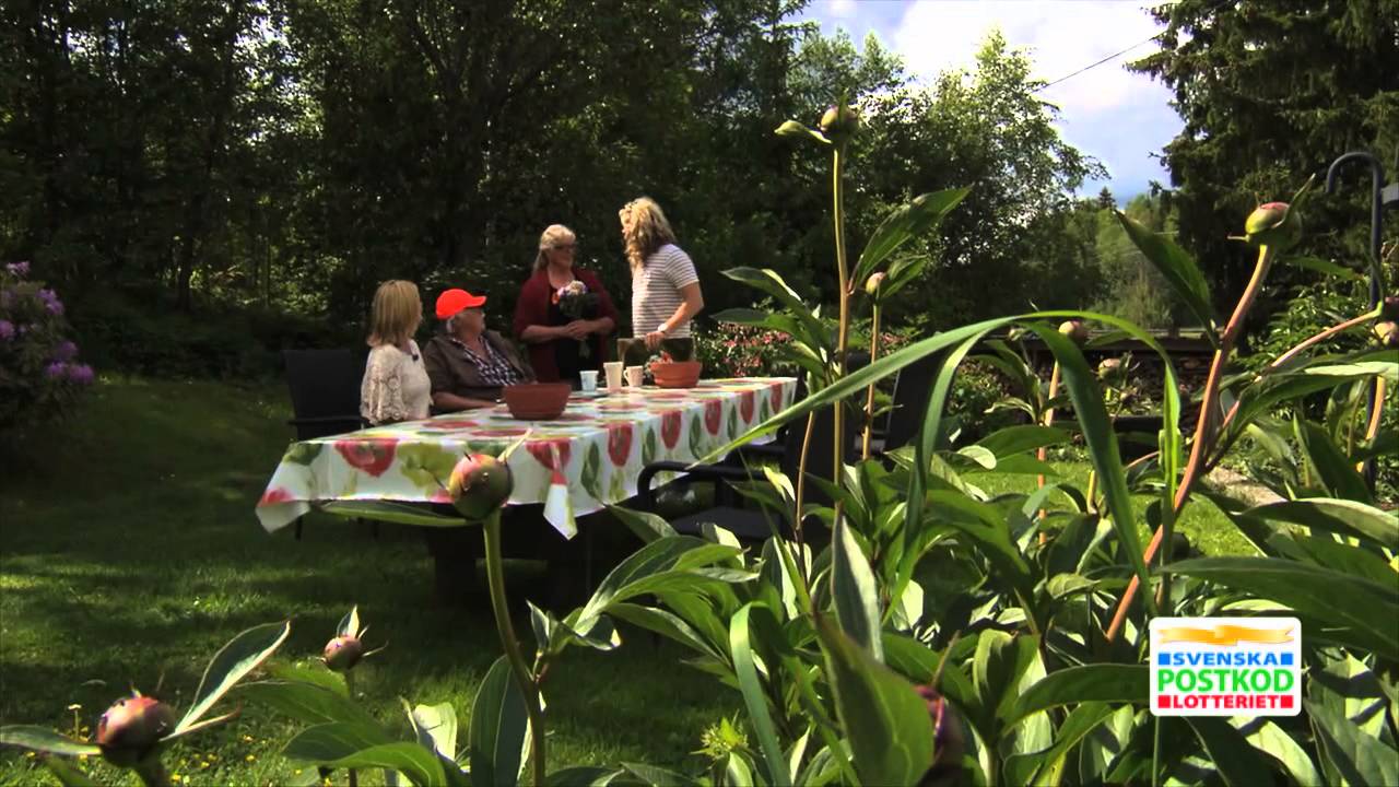 PostkodLotteriets SommarVinnare – avsnitt 3
