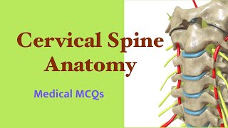 Cervical Spine Anatomy: Medical Quiz (MCQs)