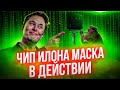 Илон Маск - это ПРОРЫВ! Обезьяна на чипе Neuralink играет в Pong силой мысли