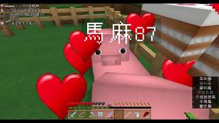 【巧克力0119直播】正義貓貓~繁殖貓貓！  Minecraft #2
