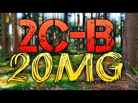 2CB at 20mg | Experience