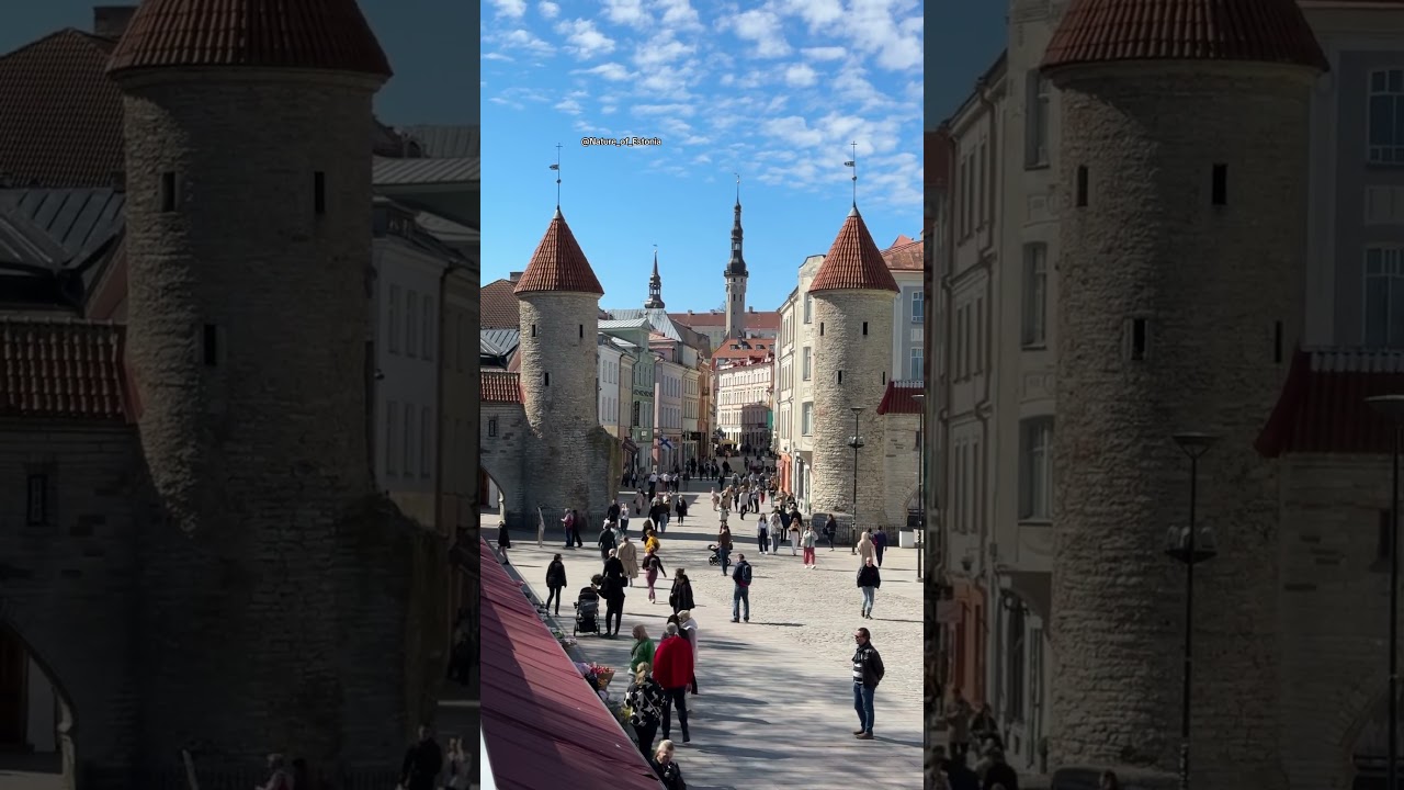 Sunny Day, Viru Gate