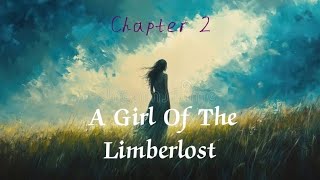 Famous Novel - A Girl Of The Limberlost (Audiobook) || A Girl Of The Limberlost Chapter - 2 || Wealth