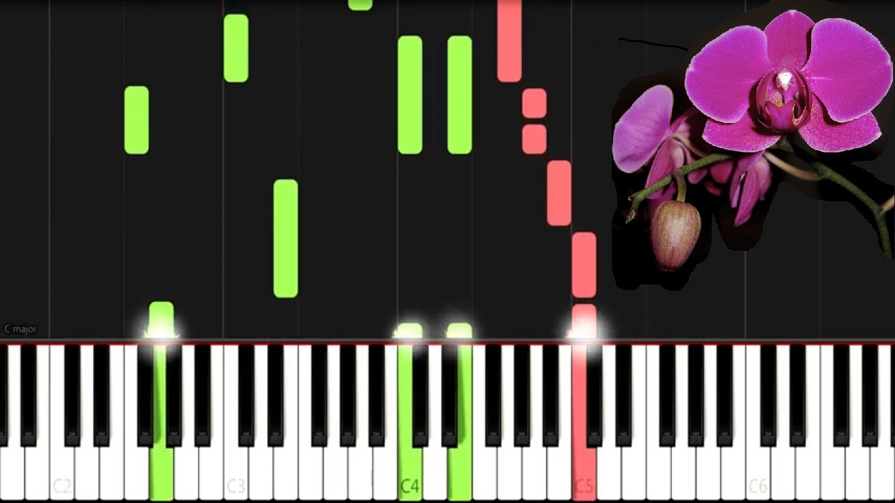 You Dont Bring Me Flowers Piano Cover Neil Diamond YouTube You dont bring me flowers piano cover neil diamond youtube