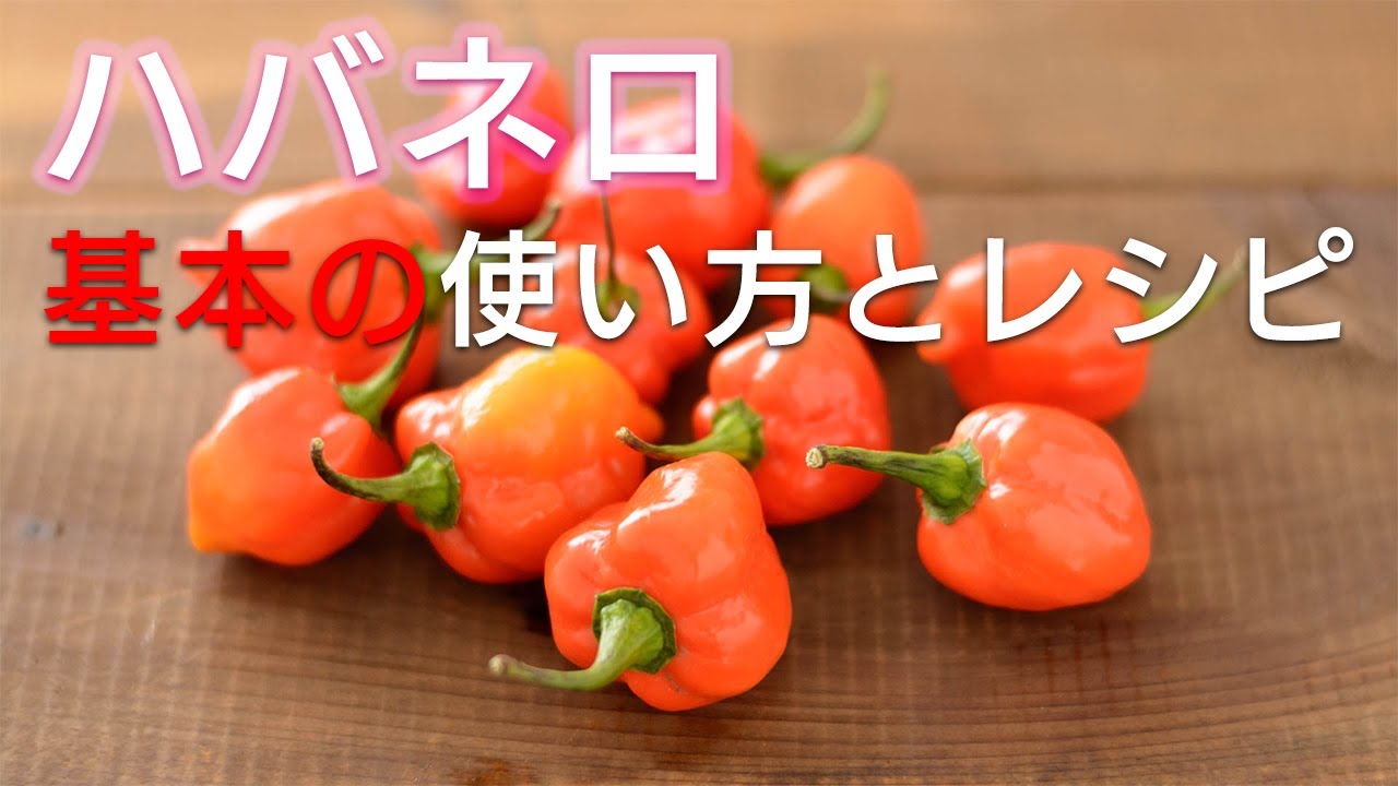 ペパロニロールアップのレシピ