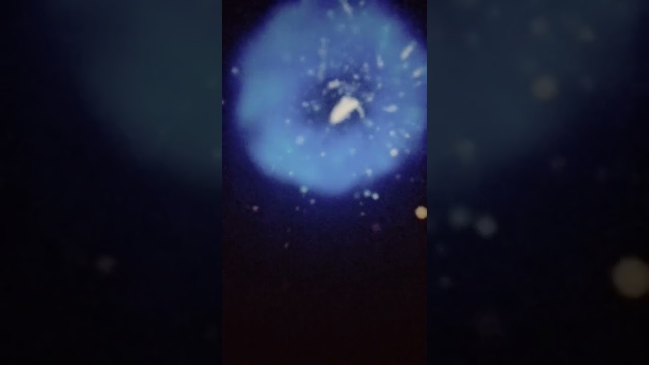 School Tour At Gorakhpur Taramandal 