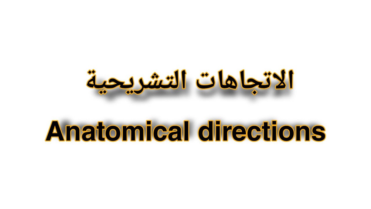 الإتجاهات التشريحية - Anatomical directions