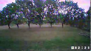 Full Speed Grasshopper 94