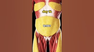 What happens if you stop eating sugar for 14 days? 🤔