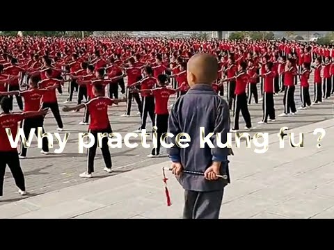 Unlock Your Potential: Kung Fu Flow Practice for Mind-Body Unity"