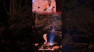 জয় মা মনসা🙏 Nagina 🐍#shorts #nagina #manasa #youtubeshorts #bimaldancegroup #viral #trending