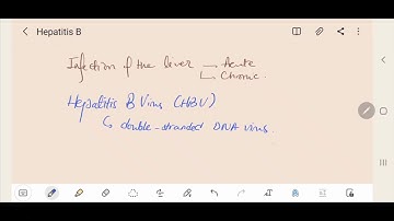 Hepatitis B virus HBV Infection (Diagnosis, Management and Follow up)