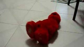 Tickle Me Elmo - Mine