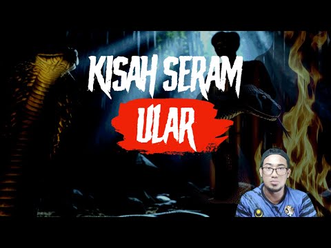Kisah Seram Ular