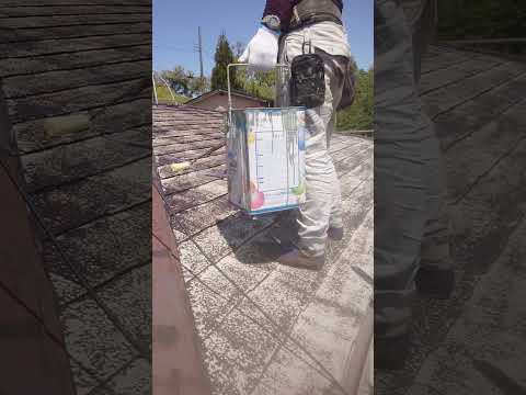 屋根のシラー 屋根のシラー