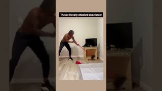 The Rat Was Ready For A Fight With Dude