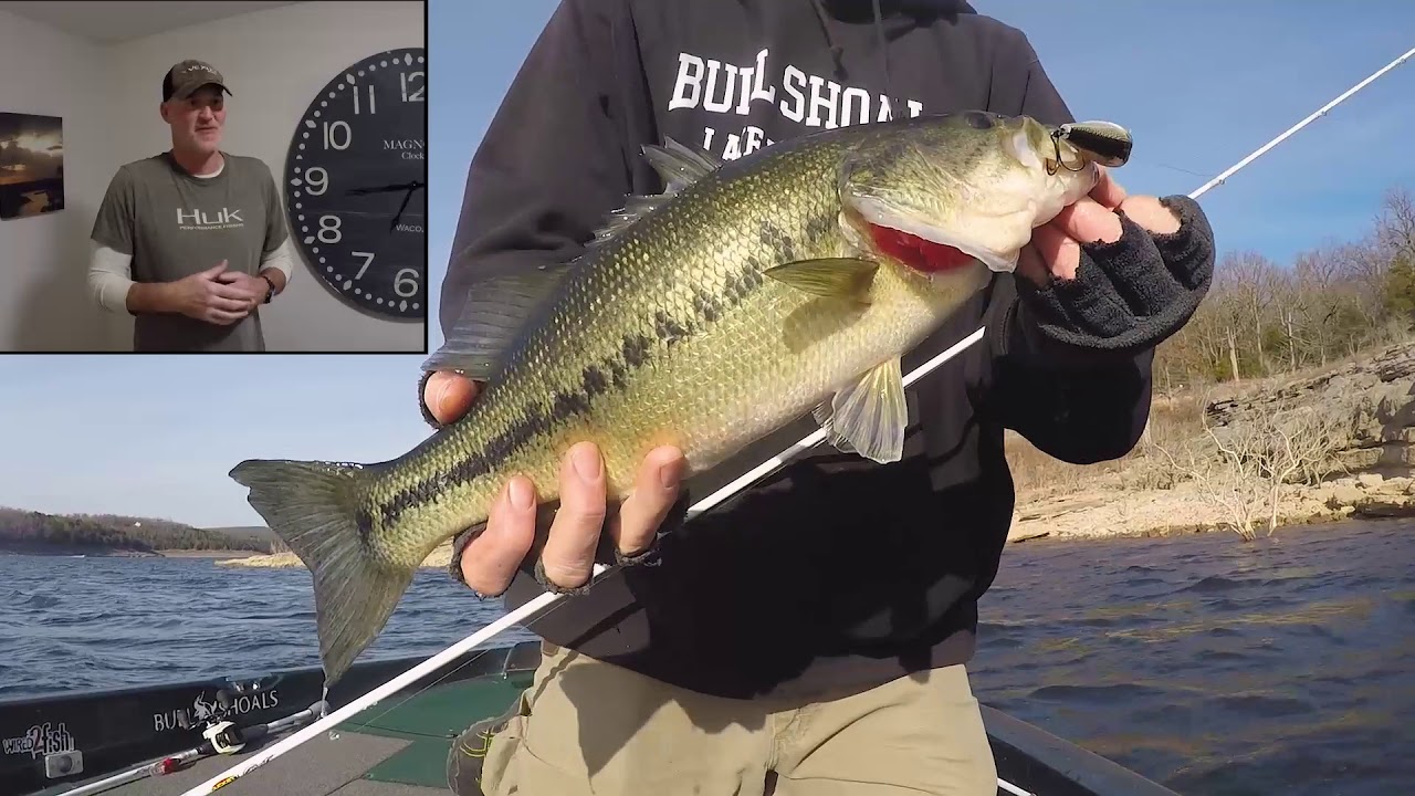 Bull Shoals Lake Fishing Report Del Colvin YouTube