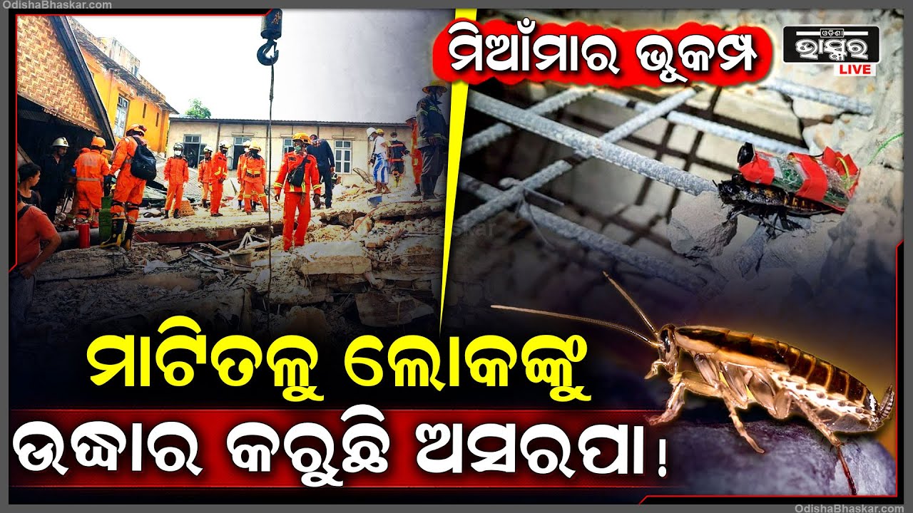 ମନରୁ ଯାଇନି ମିଆଁମାର ଭୂକମ୍ପ ଝଟକା, ମାଟିତଳେ ଦବି ରହିଥିବା ଲୋକଙ୍କୁ ବଞ୍ଚାଉଛି ଅସରପା...ଜାଣନ୍ତୁ କେମିତି କରୁଛି