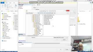 Lab5-1 Restore the Database Wealth