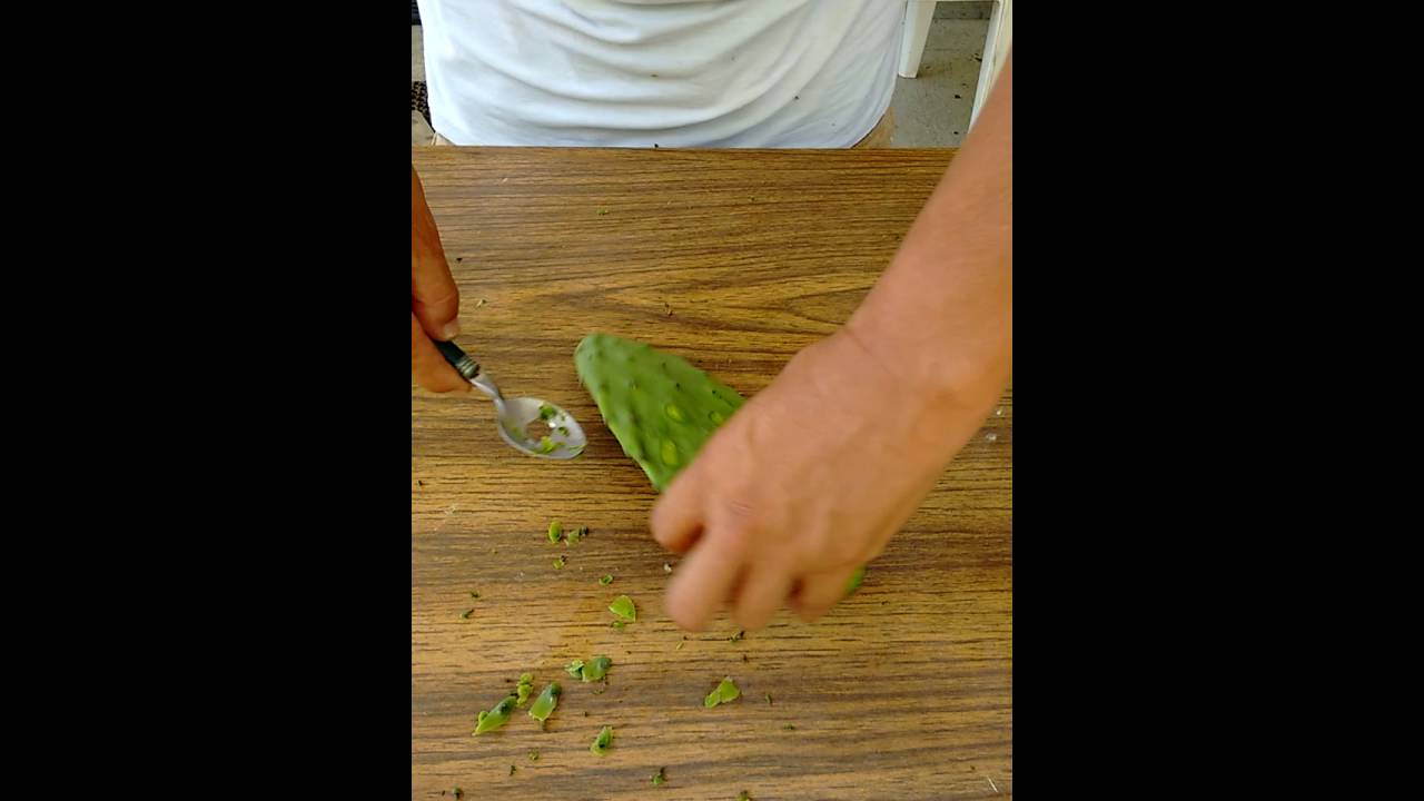 Como Hacer La Mejor Cuchara Para Pelar Nopales!💯🌿 