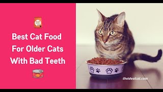 Best Cat Food for Older Cats with Bad Teeth by The ideal Cat 2,640 views 3 years ago 7 minutes, 55 seconds