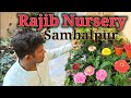 Nursery Visit Winter Season flowers and Permanent plants with names &amp; price