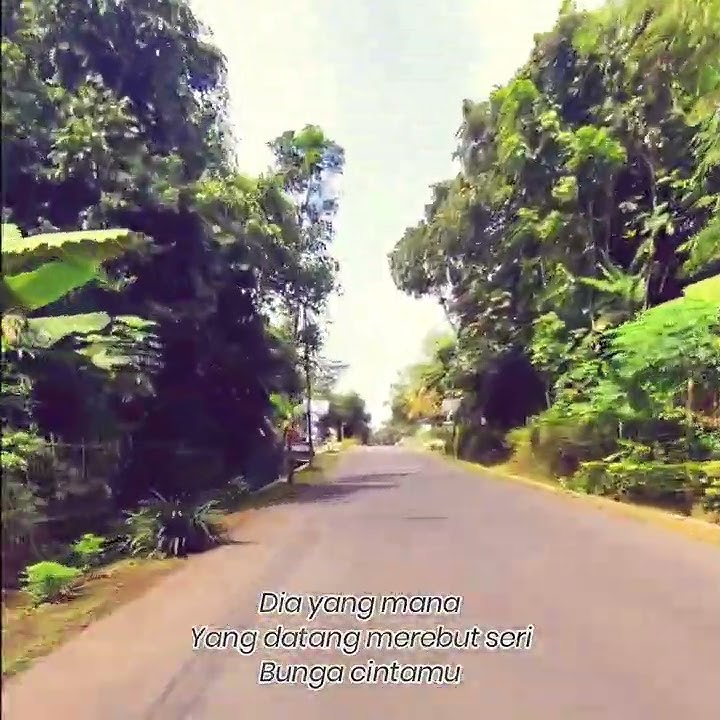 Story WA Saleem Iklim - Mimpi Yang Hilang