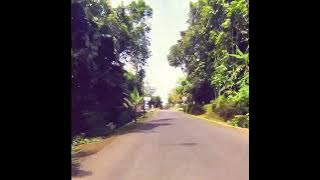 Story WA Saleem Iklim - Mimpi Yang Hilang