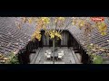 The most beautiful garden homestay in China