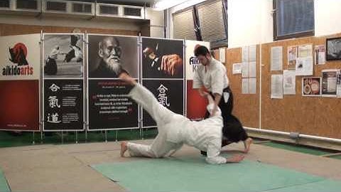 Yokomenuchi sankyo [TUTORIAL] Aikido empty hand technique: