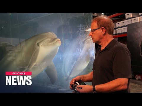 U.S. engineering company creates life-like robot dolphin