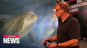 U.S. engineering company creates life-like robot dolphin