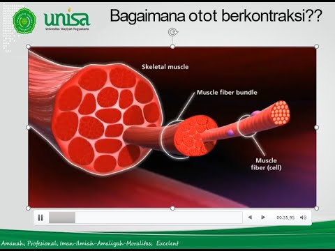 Video: Virus Ini Memompa Otot Pada Lelaki Tikus - Pandangan Alternatif