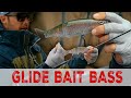 Bmp fishing big bass on trout glide bait swimbait cast to catch