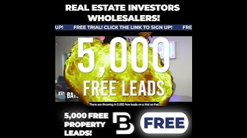 Unleashing the Power of Real Estate Investment: Exploring Batch Leads