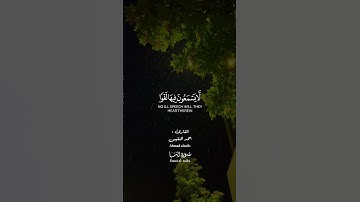 ما تيسر من سورة النبأ || القارئ احمد النفيس.