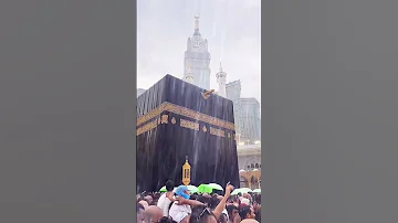 لعل عيدنا يصبح عيدين و لعلنا نبكي فرحا قائلين ق د ج ع ل ه ا ر ب ي ح ق ا لنا ولكم ياااارب عيد 