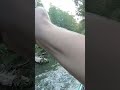 AGGRESSIVE Creek Bass!! #shorts #bassfishing #creekfishing #kayakfishing #kayakbassfishing