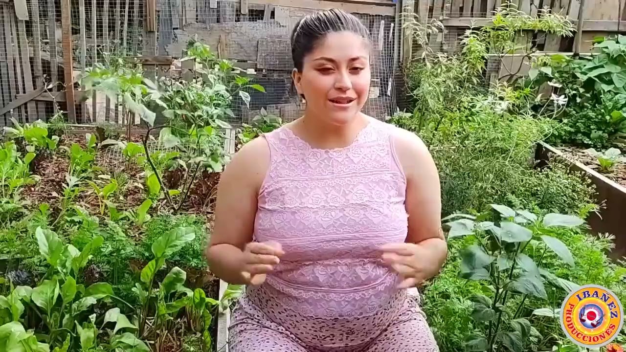 ALBAHACA VERDE - HERMANOS MIO / VOL. 1 - OLMOS - LAMBAUEQUE - PERÚ 🎶🎤 ( CLASICOS DE ORO )🎹🎺