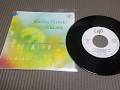 【シティポップ】 カルロス・トシキ & オメガトライブ CARLOS TOSHIKI & OMEGA TRIBE - 花の降る午後 レコード Rip 黑胶内录转录