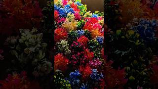 marbal chota guldasta 💐🕶️... #trending sungvirel#newpost #chari ka flower#trending