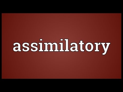 Header of assimilatory