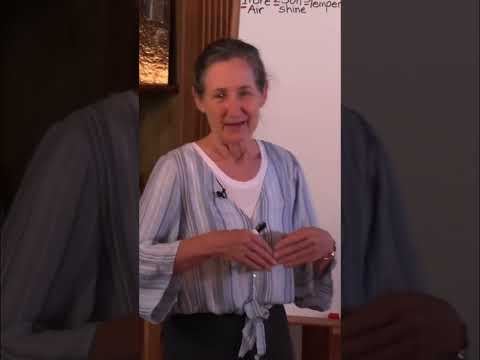 Your Liver: The Body's Amazing Project Manager Explained #shorts