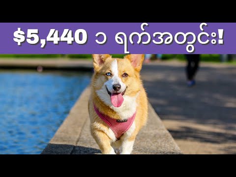 ผลสลากกินแบ่งรัฐบาล วันที่ 1 พย. 2567 ผลสลากกินแบ่งรัฐบาล วันที่ 1 พย. 2567